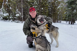 Leif and Tuva Norwegian Elkhound Pair
