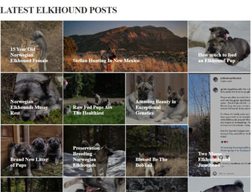 Elkhound Adventure Site
