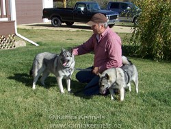 Shadow returns, shown here with Tora and Merv