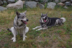 Aina and Rico August 2018