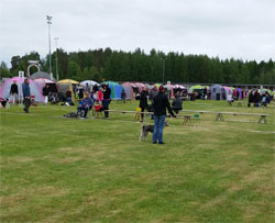 Joensuu Finland Dog Show