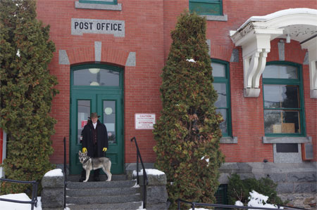 Ark Jamthund Male - Merv at Post Office