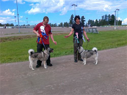 Karu's Grandfather and Mother Norwegian Elkhound Champions