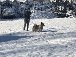 Marcia and Koda in Winter