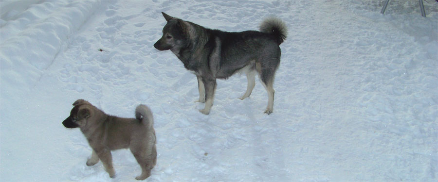 A Young Kamp and Takoda