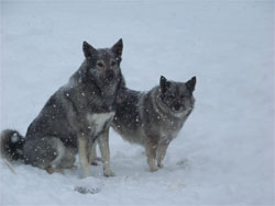 Takoda and Mia Side By Side