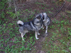 Takoda and his daughter Vida, Ancient Lineages Live On