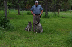 Shorty and Kai Norwegian Elkhounds