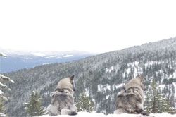 Kalia and Tora watching Takoda come up the mountain