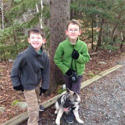 Norwegian Elkhound pup Gunnar with Murray Boys