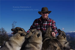 Kamia Kennels Elkhounds and Merv Carlson