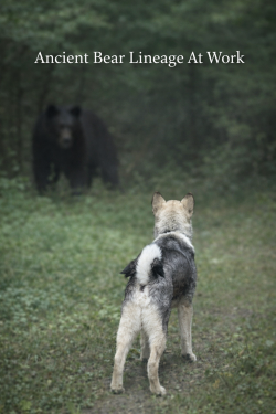 Sola confronts a bear at 16 Weeks