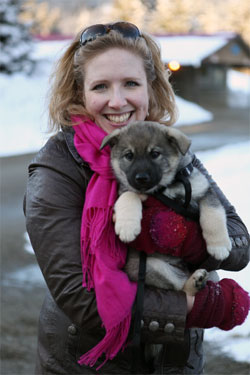 Julia and Tesla A Norwegian Elkhound Male