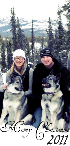 Nika and Kari, Elkhound Female Sisters